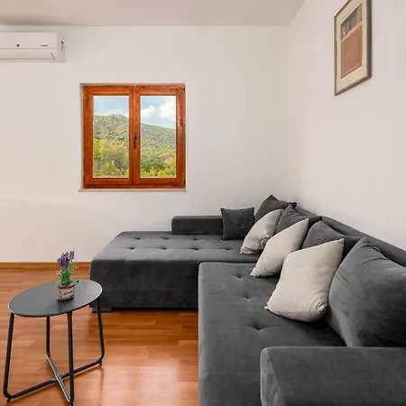 Apartment Dalmatian Pool&grill House Gustirna
