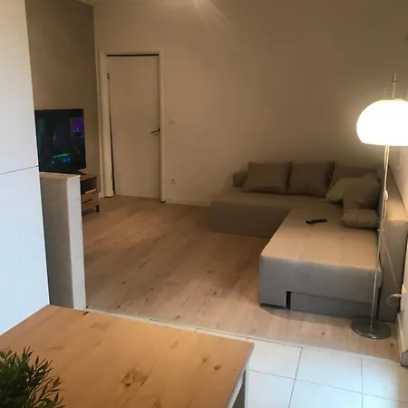 Apartment Dalmatian Pool&grill House