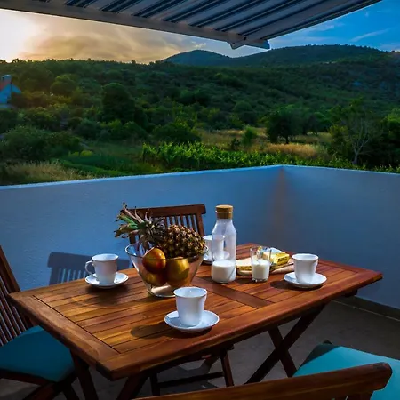 Dalmatian Pool&grill House Apartment *